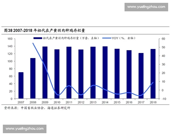 联赛杯历史回顾与发展趋势分析：从起源到现代化的演变路径