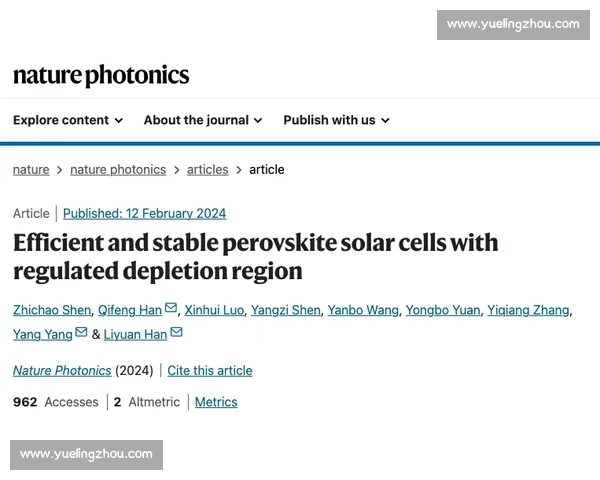 提升团队协作效率与个人能力发展的关键因素协调能力的培养与应用分析
